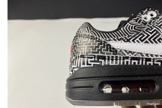 Tokyo Max Air 1 Nike Maze CI1505-001 0302